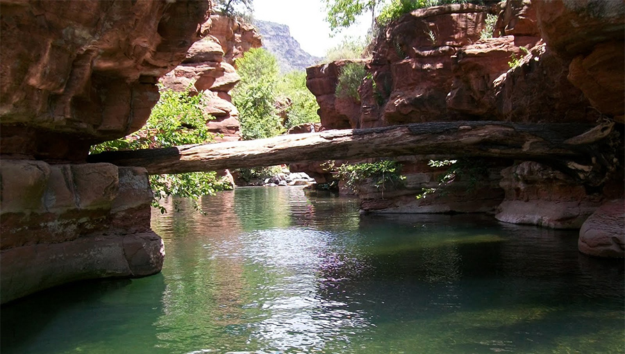 In a narrow spot in the Verde River a log rests on either side of a swimming hole.